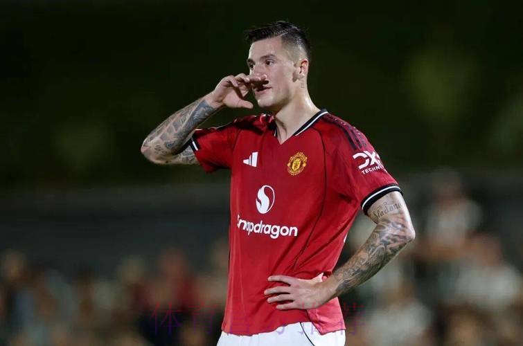 哈格里夫斯:谢什科进球精彩,但进攻重任不能压他一人身上 哈格里夫斯:谢什科进球精彩,但进攻重任不能压他一人身上